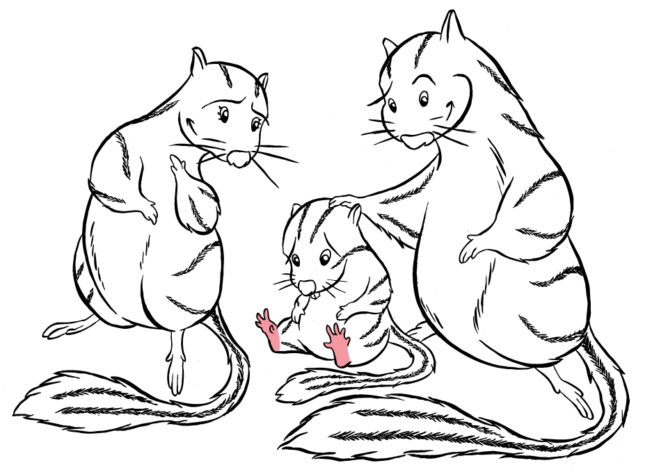 Chipmunks