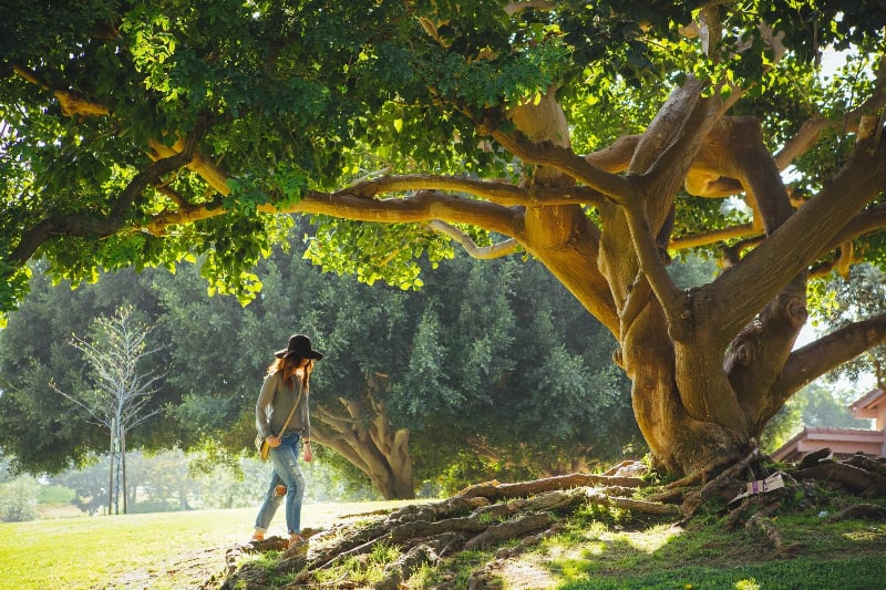"This Lent Search for the Root that's Holding You Back" by Christina Antus (CatholicMom.com)